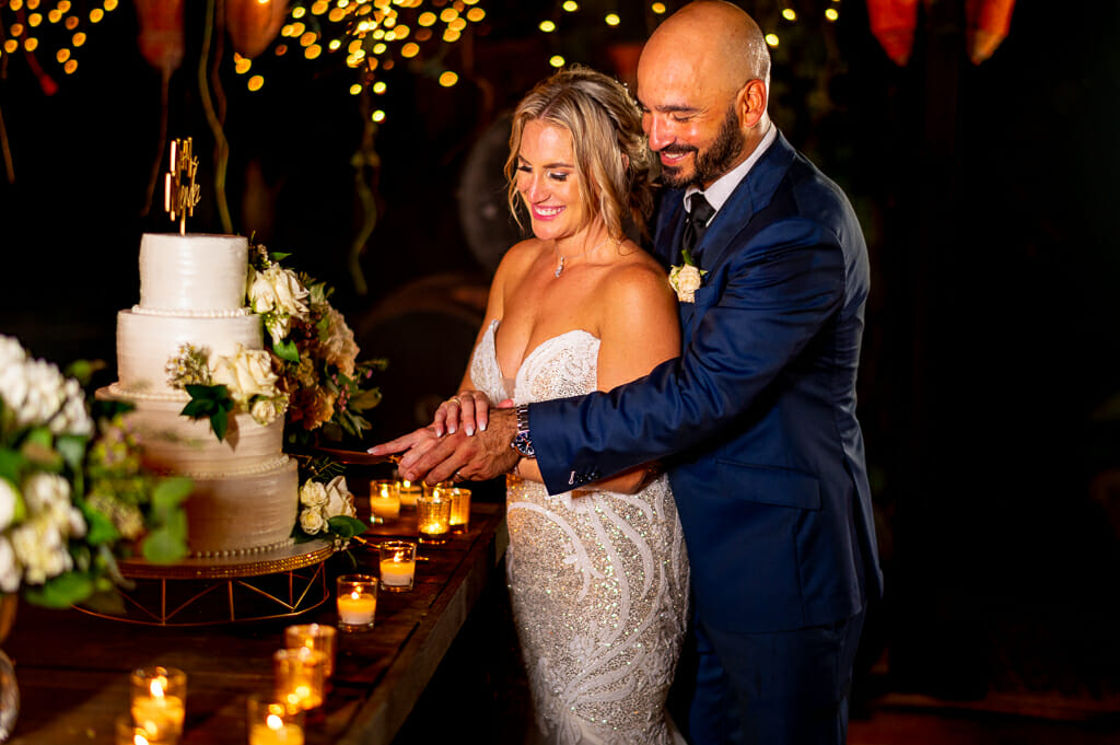 Bride and Groom Wedding Cake cutting